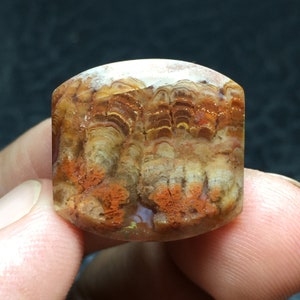 Plume Achat Cabochon: Insel Java Edelstein (20x18x5 mm)