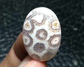 Cabochon fossile de corail agatisé 22 x 16 x 5 mm