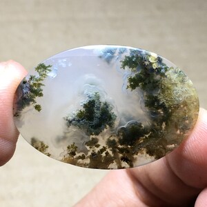 Scenic Moss Agate Cabochon 35x24x5 mm image 2