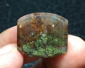 May include: A cabochon of moss agate with a translucent, milky white base and inclusions of green, brown, and white dendrites. The agate has a rounded, rectangular shape.