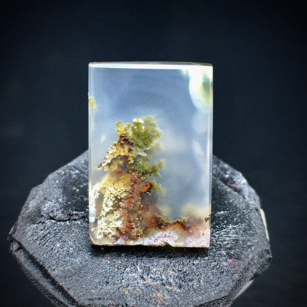 Scenic Tiny Moss Agate Cabochon 20x13x4 mm