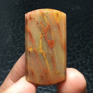 Orange Petrified Palm Wood Cabochon 38x20x4 mm