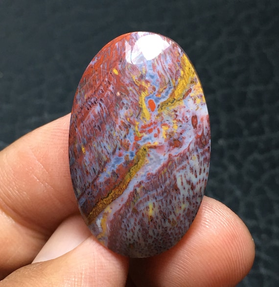 マルチカラーの化石化したヤシの木の化石カボション 32x20x7 mm - Etsy 