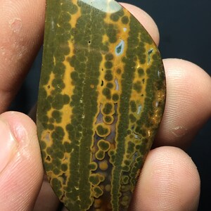 Ozean Jaspis Cabochon 44x23x6 mm