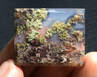 May include: A clear, rectangular agate slab with a dendritic pattern of green, brown, and red. The agate has a cloudy, translucent appearance.