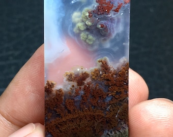 Red Moss Agate Cabochon 35x20x5 mm
