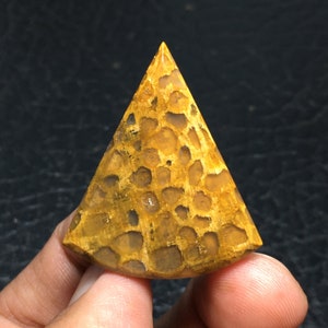 Brown Petrified Wood Cabochon 35x30x5 mm