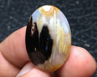 Cabochon bicolore en bois de palmier pétrifié, 26 x 18 x 5 mm