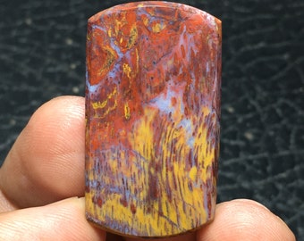 Cabochon multicolore en bois de palmier pétrifié, dimension 37 x 21 x 5 mm