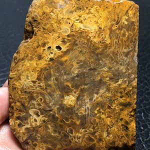 Petrified Wood Unpolished Slab 85x68x8,5 mm