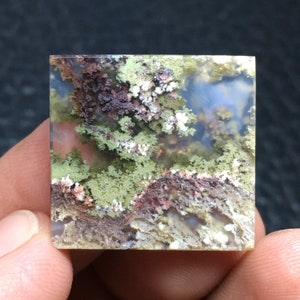 Moss Agate Cabochon 23x22x4 mm image 1