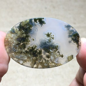 Scenic Moss Agate Cabochon 35x24x5 mm image 5