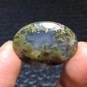 May include: An oval-shaped gemstone with a translucent appearance. The stone features a landscape-like pattern with green, brown, and red inclusions, resembling a miniature forest. The polished surface reflects light, enhancing the natural colors and textures.
