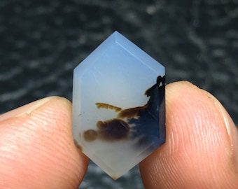 Könnte beinhalten: Ein sechseckiger, durchscheinender blauer Achat-Cabochon mit braunen und schwarzen dendritischen Mustern.