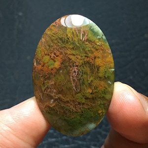 May include: A green, orange, and brown agate cabochon with a swirling, dendritic pattern. The cabochon is oval shaped and has a smooth, polished surface.