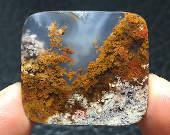 Zweifarbiger Moosachat-Cabochon, 29 x 26 x 6 mm