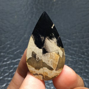 Bicolor Petrified Palm Wood Cabochon 40x22x6 mm