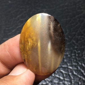 Bicolor Petrified Palm Wood Cabochon 35x25x5 mm