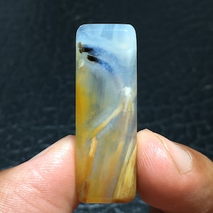 Petrified Palm Wood Cabochon 36x12x4 mm