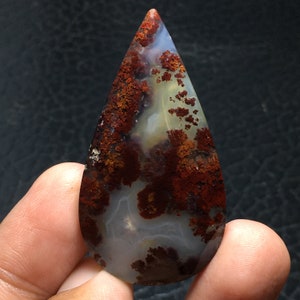 Scenic Red Moss Agate Cabochon 51x27x8 mm