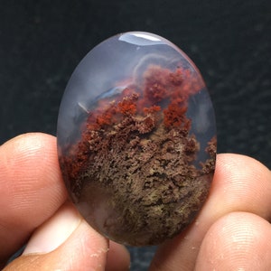 May include: A polished oval cabochon of agate with a dendritic pattern. The agate is translucent with a white base and brown and red dendritic inclusions.