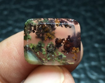 Scenic Moss Agate Cabochon (15x12x4) mm