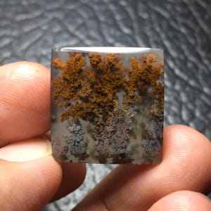 May include: A square-cut dendritic agate gemstone featuring a translucent, milky-white base with intricate, branching inclusions in shades of deep rust-orange and muted charcoal-gray that resemble delicate, fern-like forest patterns.