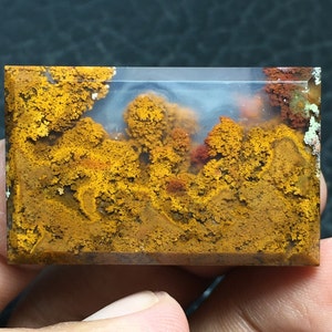 May include: A polished agate stone with a unique, dendritic pattern. The stone is a mix of yellow, orange, and red colors with a white background. The stone is rectangular in shape and has a smooth, polished surface.