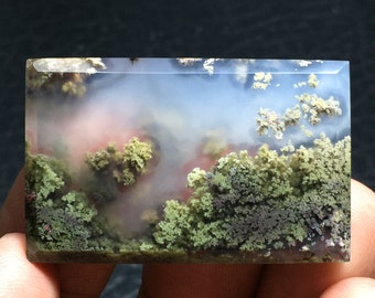 Può includere: Una lastra di agata lucidata con uno sfondo nuvoloso traslucido e un paesaggio di motivi a forma di muschio verde, marrone e grigio.