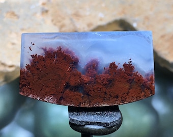 May include: A polished agate slab featuring a dendritic pattern in shades of brown and white. The agate has a translucent, cloudy appearance.