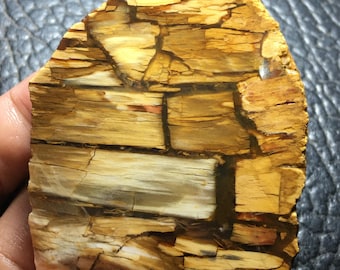 Losa de madera de palma petrificada sin pulir de 72x55x7 mm