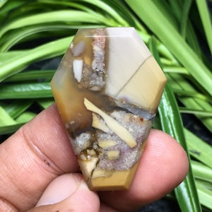Brekzien Jaspis Sargform Cabochon 37x26x5 mm