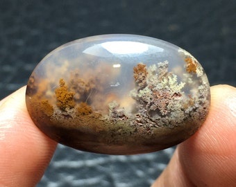 May include: A smooth, oval-shaped agate cabochon with a translucent, cloudy white background. The stone features intricate, dendritic patterns in shades of brown, rust, and green, resembling a landscape.