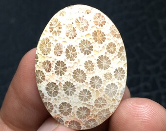 Natural Agatized Coral Fossil Cabochon 30x22x4 mm