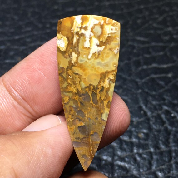 化石化したヤシの木の化石カボション 39x15x5 mm - Etsy 日本