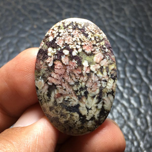 Flerfärgad Mossplym Agat Cabochon 35x24x6 mm