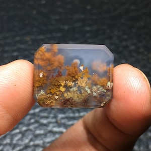 Puede incluir: Una gema transparente facetada con un patrón único de dendritas marrones, amarillas y verdes. La gema es translúcida y tiene un aspecto natural y orgánico.