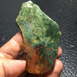 Jaspis Korallen Fossil Unpolierte Scheibe 74x40x6 mm