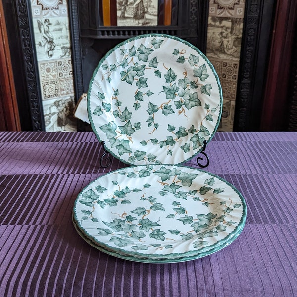 Vintage Tableware - Barratts Fine Tableware Made in England 89 Dinner plate Set of 3 - White and Green Leaves Dinnerware Plates