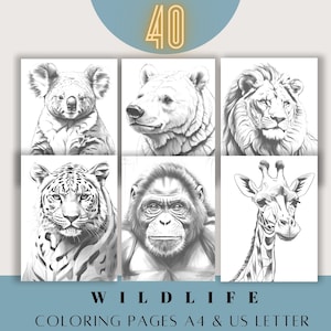 40 wild animals coloring pages,download grayscale illustration,jungle coloring page printable,wild life digital download pdf 8.5x11 A4 pages