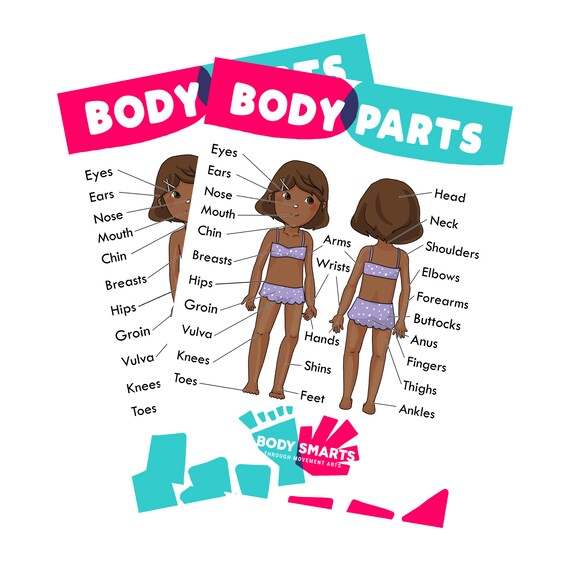 Body Parts / Anatomy / Sex Ed / Private Parts Poster / | Etsy