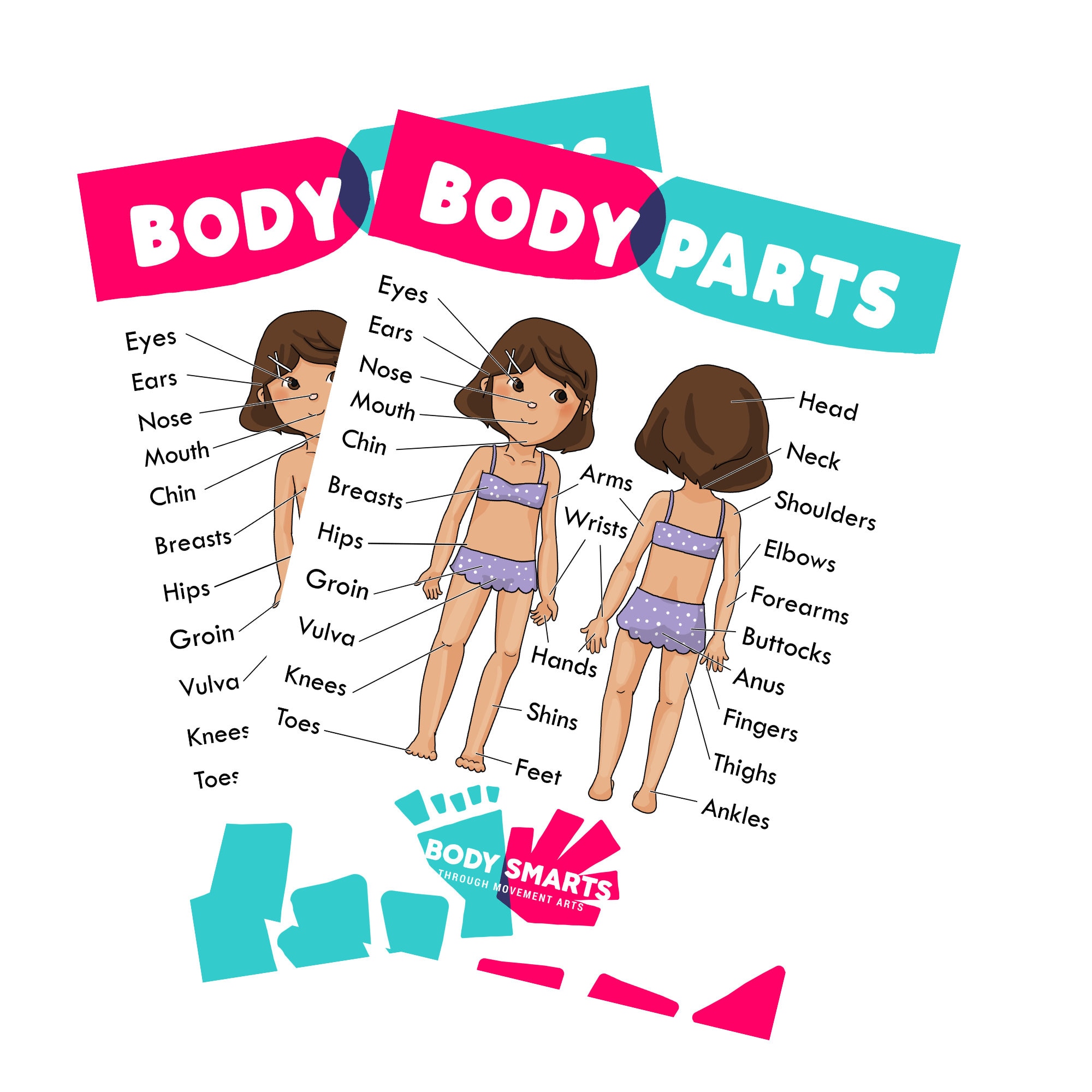 Body Parts / Anatomy / Sex Ed / Private Parts Poster / - Etsy