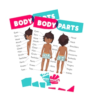 Anatomy / Body Safety Education Poster / Printables (male)