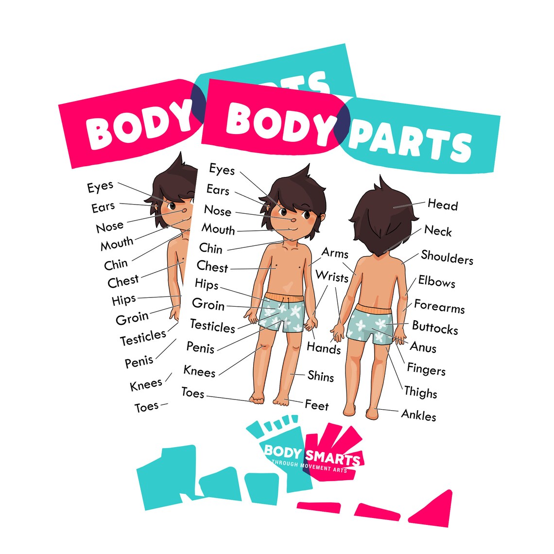 Body Parts Anatomy Sex Ed Private Parts Poster Printables Male 