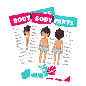 Anatomy / Body Safety Education Poster / Printables (male)