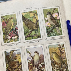 Álbum de la Verkade holandesa Crow de 1935, dibujo dibujado, ilustraciones, libro vintage con imágenes coleccionables.