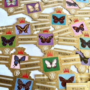 Mariposa, juego de 36 anillas para puros, mariposas, gran calidad, efímera, coloridas, anillas, revista basura, Willem II, anillas de puros de la suerte