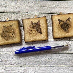 Jaren 70 katten op een tegel Vintage. Zeer retro verzamelset voor een kunstwand van hollands keramiek.