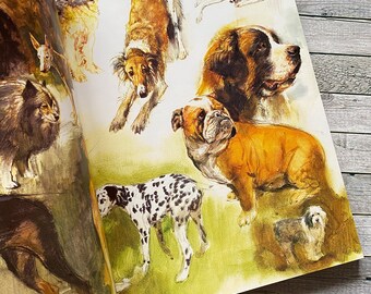 Rien Poortvliet Dog Book: Dutch Language, Delightful Images. Braaf