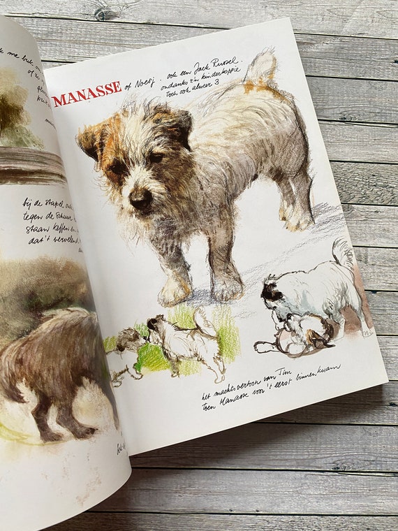 Rien Poortvliet Dog Book: Dutch Language, Delightful Images. Braaf